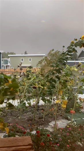 86K views · 603 reactions | Wild video captures a massive dust storm engulfing an Idaho town. | New York Post | Facebook