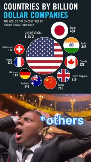 Countries by billion dollars companies.#facts #newvideo #viralvideo #memes #amanzingfacts #funny