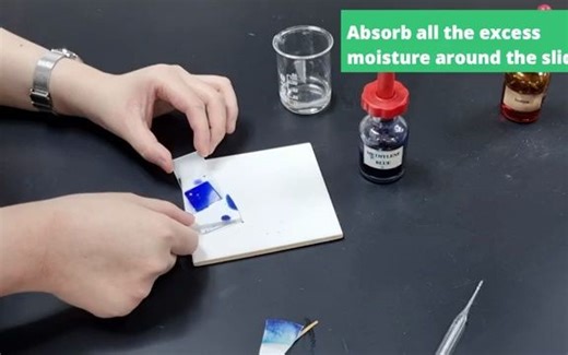 1. How to Prepare a Microscope Slide (Onion and Cheek Cell)