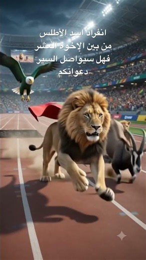 Will the Atlas Lion continue its winning streak? Morocco vs France, a final before its time