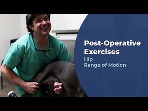 Hip range of Motion for Your Pet | Capital Animal Hospital