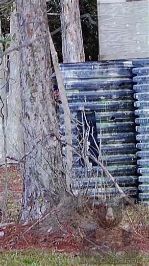 Isn't Helping Him A Lot