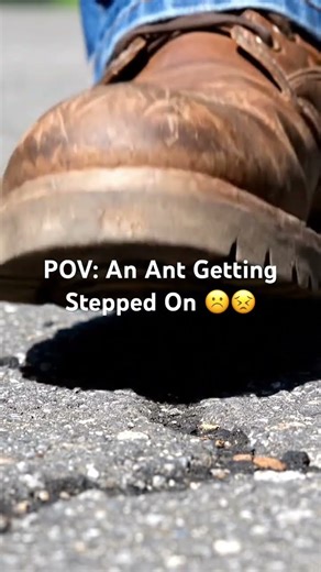 POV: An Ant Getting Stepped On