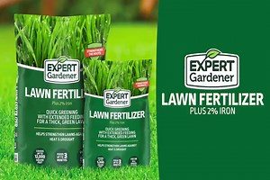 Expert Gardener Lawn Food Fertilizer Plus 2% Iron,14 lb. - Covers 5,000 Sq. ft