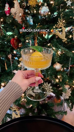 Ultimate mimosa bar hack: orange juice ice! 🧊 🍊✨🥂 These viral orange ice cubes are so simple to make and will impress all of your guests this year. Everyone loved this mimosa bar hack last year so I have a few tips and updates just in time for holiday mimosa bars. • You can use fresh tangerine leaves from the grocery store or I found a reusable one I like that fit the mold - important so you can actually pull them out. • Use a small funnel (comes with ice mold) to top them off - after they fr