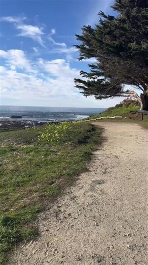 女儿周末赶海的地方 moss beach #摄影 #旅行推荐官 #美丽的景色分享给你