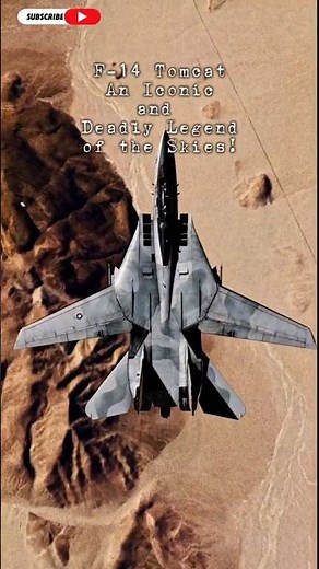 F-14 Tomcat: An Iconic and Deadly Legend of the Skies!