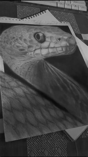realistic snake drawing | pencil Arts tutorial step by step easy shading for beginners