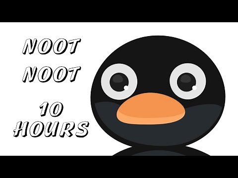 Noot Noot 10 Hours