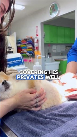 Sir. This is a medical facility. Not a full-spread audition!