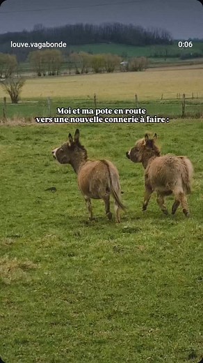 #justforyou #humour #copines #duochoc #connerie | Isabelle Catherine