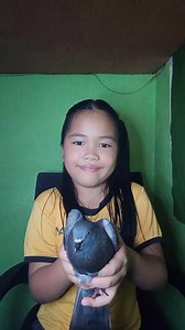 6K views · 39 reactions | Can u give a nice name☺️ | Ms. Lazy | Facebook