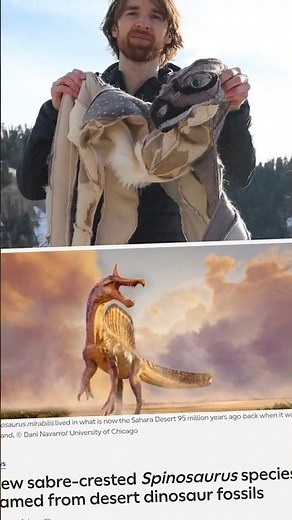 New Spinosaurus just dropped and I'm making it!