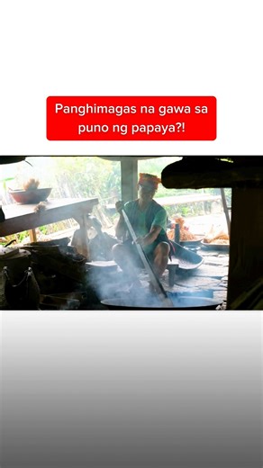 Panghimagas na gawa sa puno ng papaya?! | Kapuso Mo, Jessica Soho | Kapuso Mo, Jessica Soho (One at Heart, Jessica Soho)