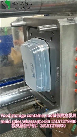Food storage container mold保鲜盒模具