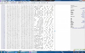 兆芯国产CPU主机读取WIN7支持CPUID列表（hwpolicy.sys和ntoskrnl.exe）_哔哩哔哩_bilibili