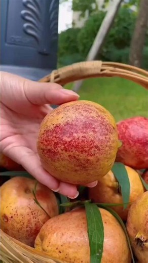 👽 Top 5 Alien Looking Fruits on world 🌎#sorts