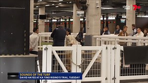 "Don't f#$% it up!" We mic'd up David Hayes on Tueday morning as his champion Ka Ying Rising stepped out, hear his reaction to THAT trial 😅 | 7HorseRacing