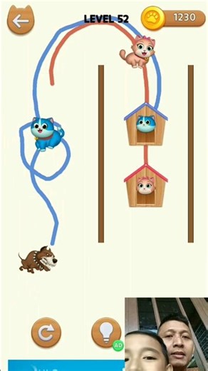 Cat rush-draw to home #52