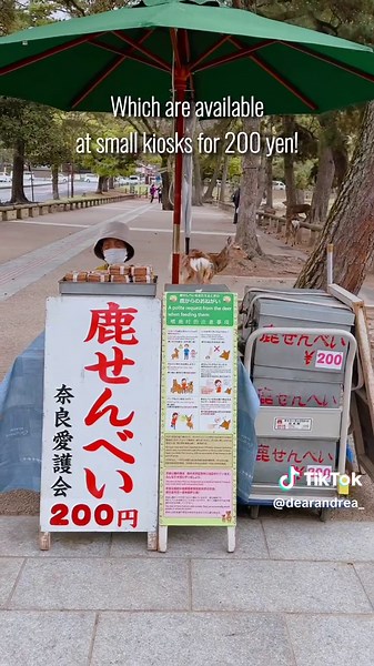 Visiting Nara Park: 5 Essential Tips