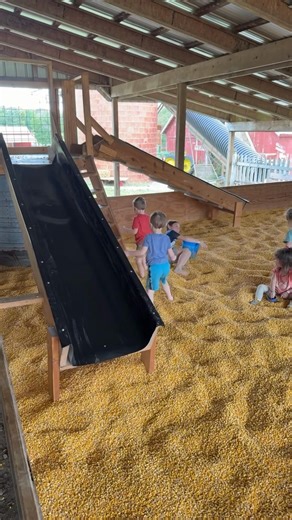 It’s just so fun to swim in corn!!!!🤣🤣 | Steven Lyon