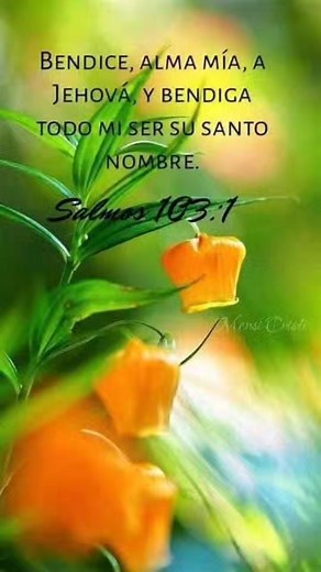 @#elamorllego | Freiman Alegría