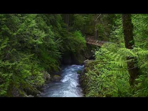 Rainstorm & River Rapids Rainstorm Water Sounds