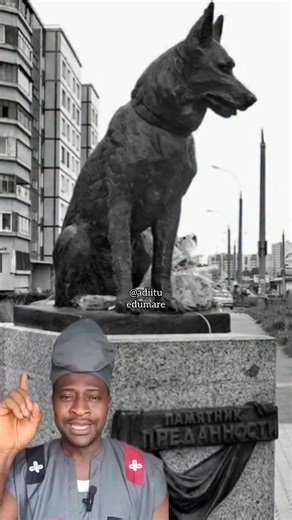 The Heartbreaking Story of Kostya — The Dog Who Stood on the Same Road For 7 Years 😢 | Àdììtú Èdùmàrè