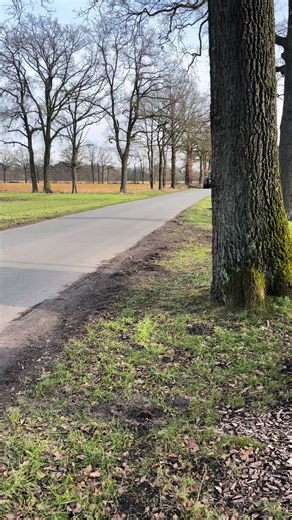 Innovative Farming Techniques in Germany