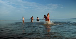 Video by Ron Lach  on Pexels