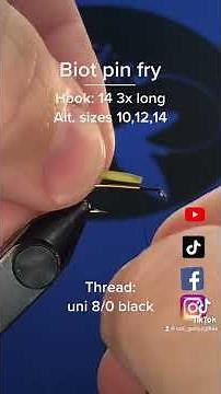 How to tie Biot pin fry fly pattern February 4, 2023