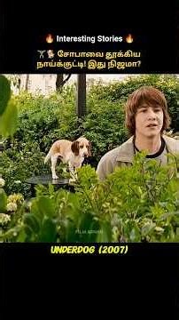 🧪🐶 A Puppy + Serum = A Superhero! #shorts #story #movie #tamilmovie