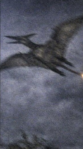 Ropen Sounds #horror #music #creature #cryptids