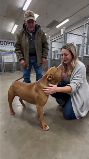 Dog reunites with woman at adoption center after time apart