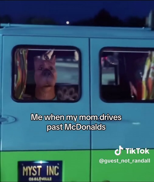 Emotional Moments When My Mom Drives Past McDonald's