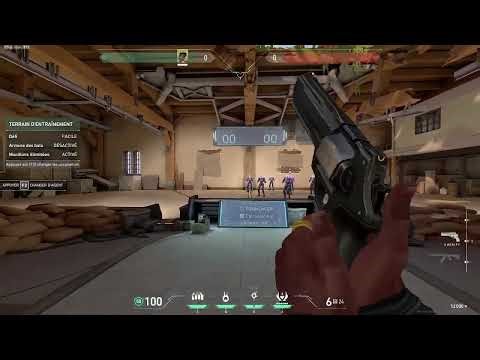 The ONLY Undetected ColorBot That Lasted...