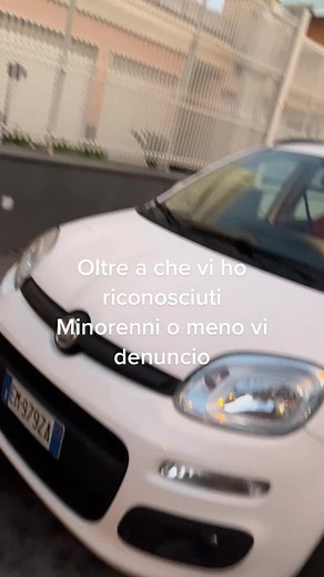 White Car Video Analysis with Italian Text Overlay