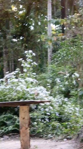 Naya saal me breakup💔/adivasi new comedy video 2024/ new year special/ #tapatapadivasicomedy #tapatapadivasi #fbshortsreels #fbreels #adivasicomedy #surajroxcomedy #comedy #reels #fbshorts #fbtrend #fbfeed #HappyNewYear #happynewyear2024 #nagpurireel #nagpurirells #nagpurireelsadda #breakup | TapaTap Adivasi Comedy