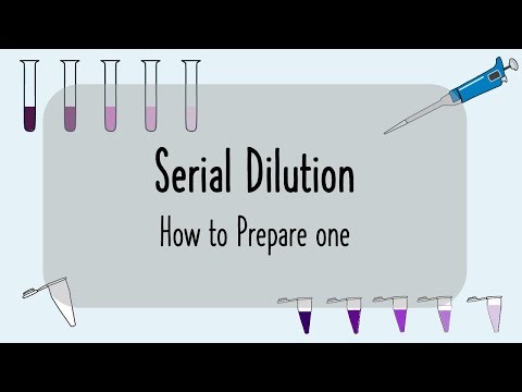 Prepare a Serial Dilution