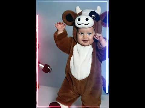 “6 Seconds of Fun, All in One”“The Ultimate Shorts Compilation”“Tiny Clips, Big Laughs”“#popular