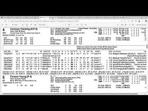 2025 Breeders Cup Classic Full Field Analysis and Picks | Sovereignty Out