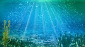 Ozean Meer Unterwasser - Free video on Pixabay