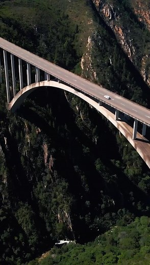708-ft bridge bungee jump in South Africa. Would you do it? 😲 | Dude Perfect