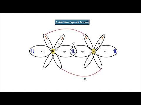 Hybridisation of N2