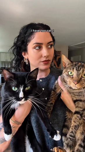 Tired of coming home to a stinky house? Say goodbye to scooping poop! Our Automatic Litter Box Pro "flushes" after every visit. Your cat (and you!) will thank you. Get yours now and breathe easy again! | Furrytail_us