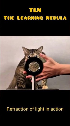 REFRACTION OF LIGHT IN ACTION #phonk #anime