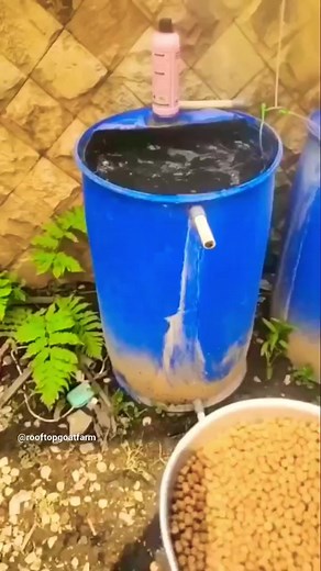 1.6M views · 8.7K reactions | Wah bhai wah #animals #viral #trending #farming #facts #fun #wildlife #rooftop #agro #goatfarming | Rooftop Goat Farm | Facebook