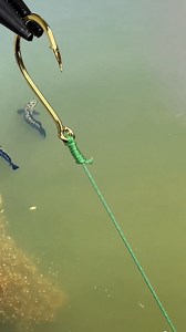 204K views · 437 reactions | #cauca #fishing #caucagiaitri #tips #fishingtips #chiasekinhnghiem #reels #reelsfb #reelsviral | Săn đồ câu cá giá rẻ | Facebook