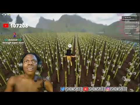 Ishowspeed plays a racist roblox game