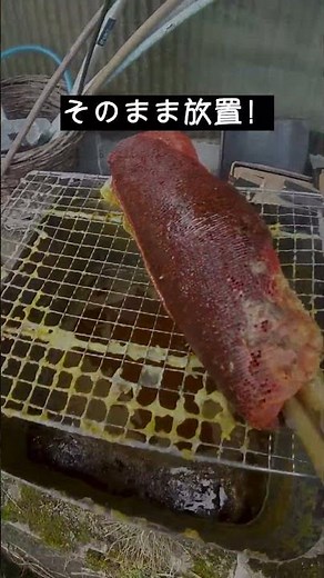【日本蜜蜂】採蜜後の巣屑を1斗缶で煮出して蜜蝋を採る方 #重箱式巣箱 #Shorts